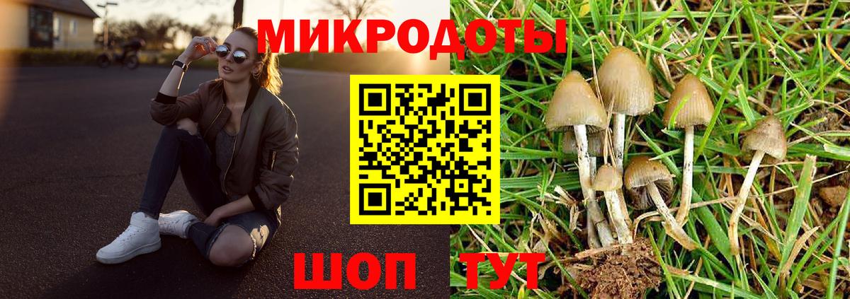 Псилоцибиновые грибы Psilocybe  Вход с VPN  купить наркоту  Набережные Челны 